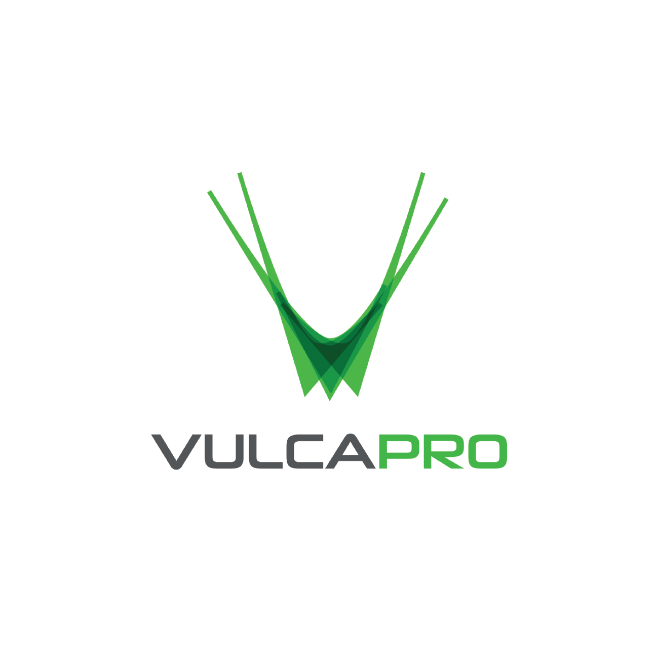 Logo client